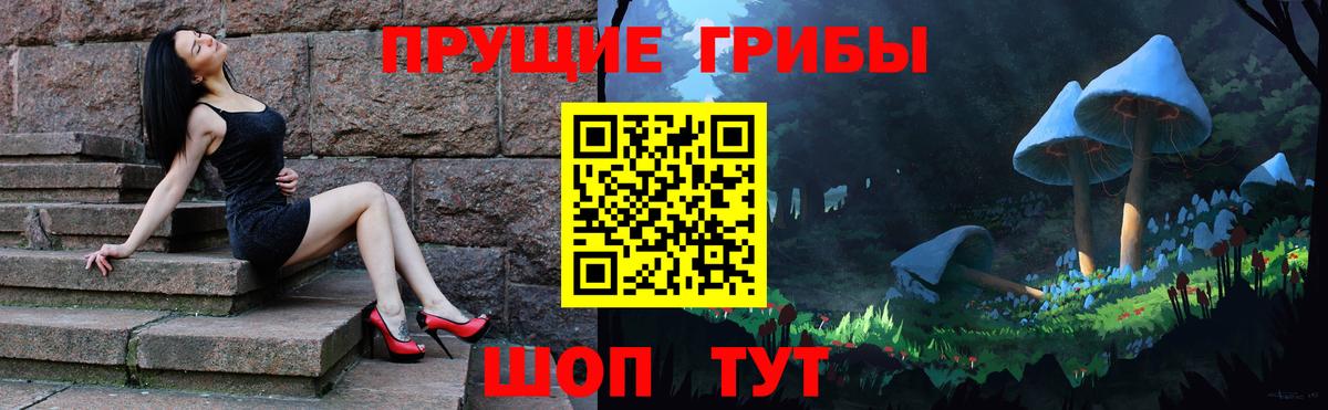 Нововоронеж  Галлюциногенные грибы Psilocybine cubensis  Вход с VPN  Псилоцибиновые грибы прущие грибы 