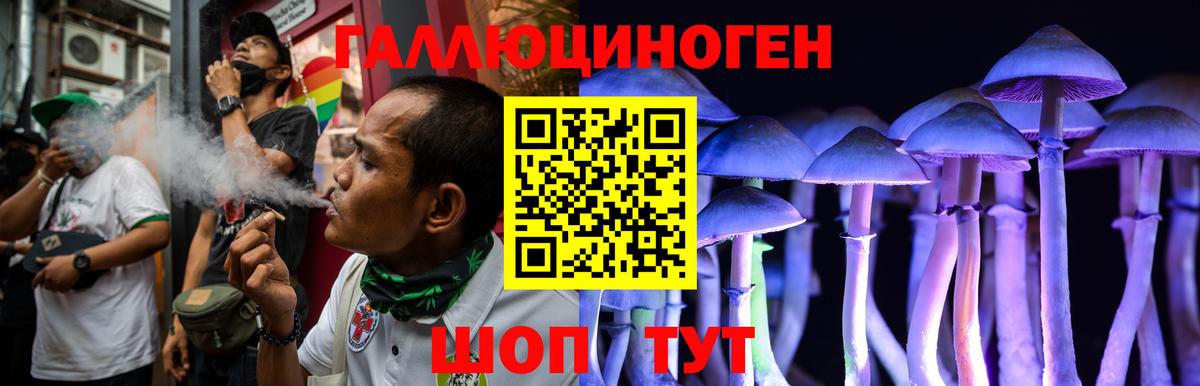 Псилоцибиновые грибы MAGIC MUSHROOMS Нововоронеж